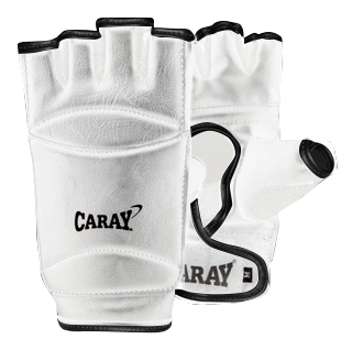 White Taekwondo Glove